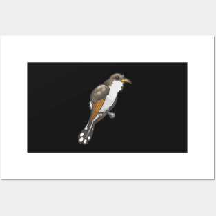 Yellow-Billed Cuckoo Posters and Art